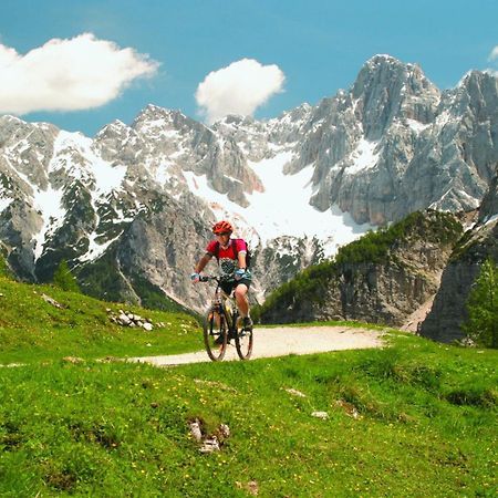 Apartma Gaja Kranjska Gora Luaran gambar