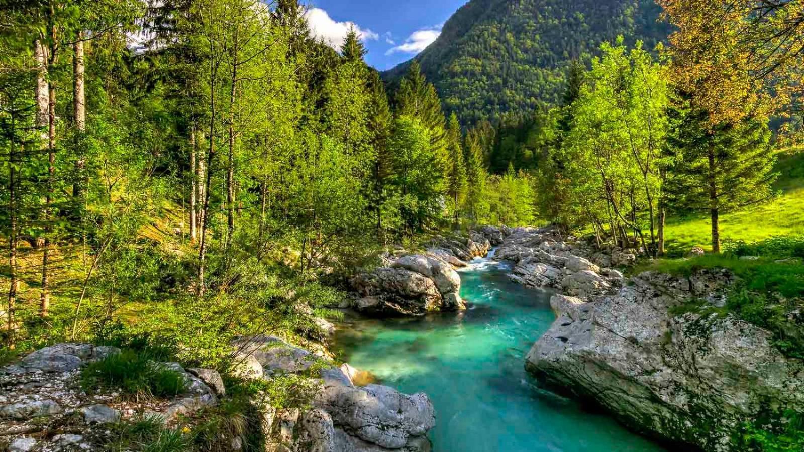 Apartma Gaja Kranjska Gora Luaran gambar
